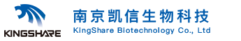 醫(yī)藥股份有限公司響應(yīng)式網(wǎng)站模板